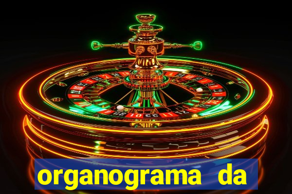 organograma da cacau show